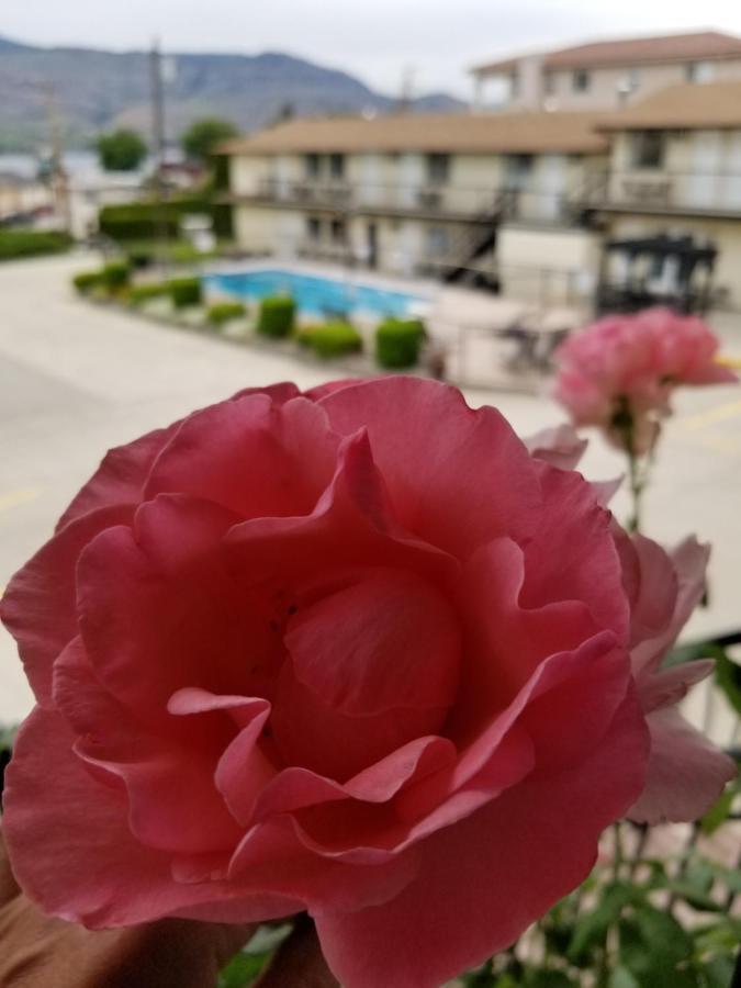 Osoyoos Lakeview Inn & Suites ภายนอก รูปภาพ